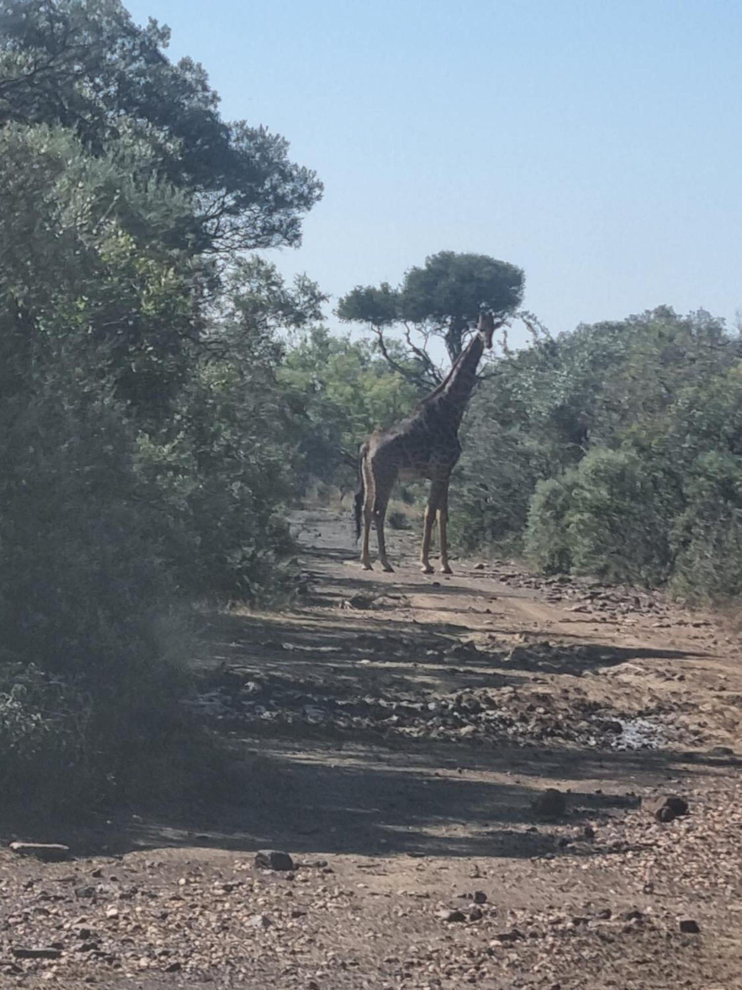 Kareekloof Game Farm Villa Derby Eksteriør bilde